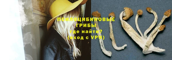 крисы Кодинск
