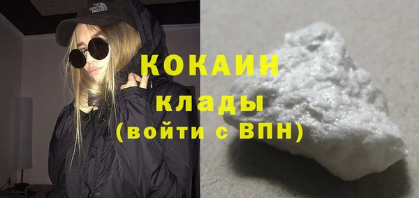 крисы Кодинск
