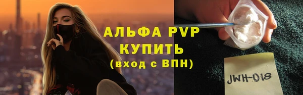 крисы Кодинск