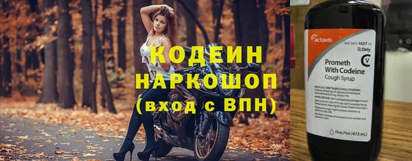 крисы Козловка
